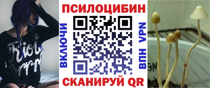 наркошоп  Краснообск  Псилоцибиновые грибы Magic Shrooms 